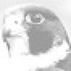 Peregrine security solutions