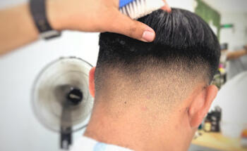 CORTEX BARBERIA