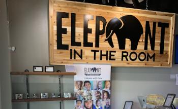 Elephant In The Room