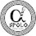 Apolo Barber Studio SJR