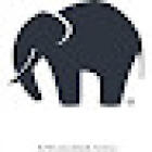 Elephant In The Room