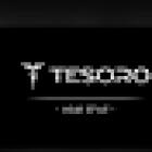 Tesoro Barber & Salon