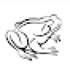 BULLFROG Barbershop