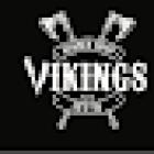 Vikings almere