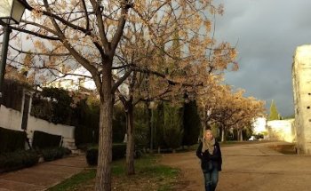 Escuela de Idiomas Ave María (EIAV)