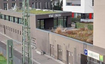 Vivat Lingua! Sprachtrainingsprogramme