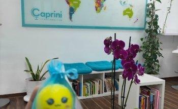 Caprini Sprachwelten - Ihre Sprachschule in Würzburg