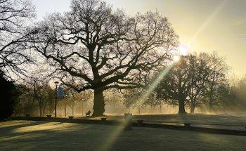 Leighton Park School