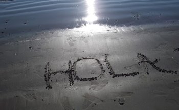 Academia Trinity School