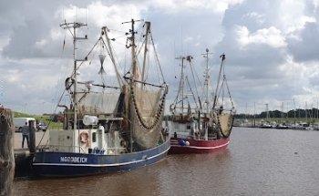 Europahaus Aurich -Deutsch Niederländische Heimvolkshochschule e.V.-