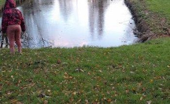 School of Understanding