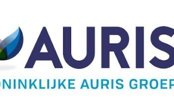 Auris Taalplein