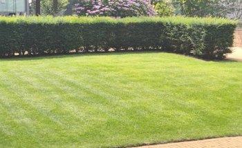 Openbare Basisschool (OBS) de Ontdekking