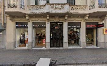 Mimo Idiomas - Cursos de idiomas en el extranjero