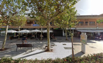 Pilar Alemán Málaga