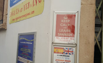 THE LANGUAGE ACADEMY