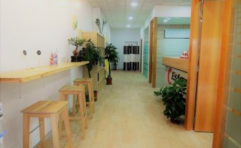 EsAsia Idiomas - Academia de chino en Madrid - Cursos de japonés