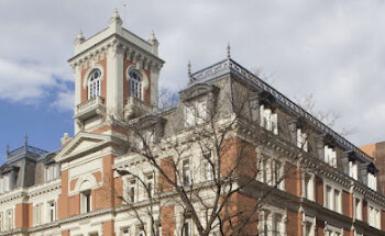 American International Institute