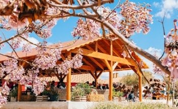 Alojamiento Rural y Centro de Ocio en Ibi (Alicante) Finca Daroca