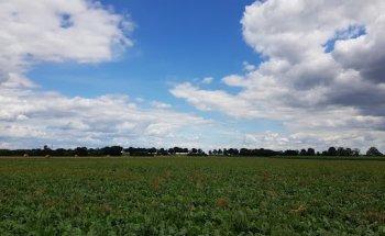 Kooperative Gesamtschule Neustadt am Rübenberge
