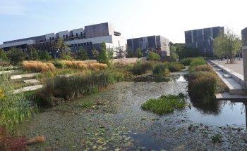 Collège international de Noisy le Grand