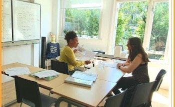 Dutch Courses Amsterdam