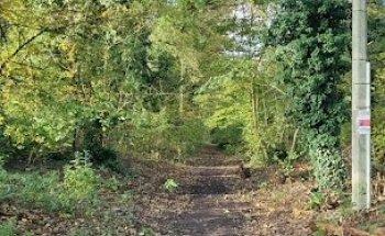 School Core Des Taillis À Seraing