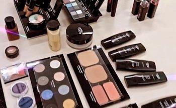 World Language School