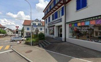 ASC Lingua Dielsdorf