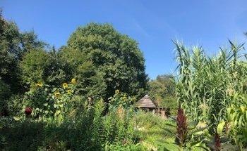 School Rudolf Steiner