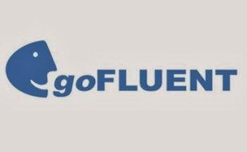 goFLUENT Switzerland