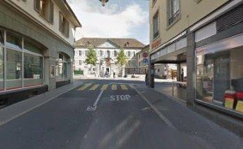 Fonds Des Ecoliers De Vevey À La Montagne