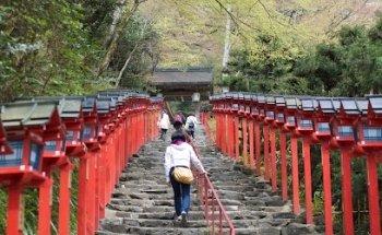 Course Japan Toulouse