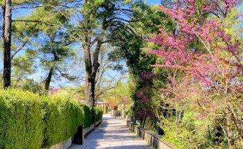 Cipec International School