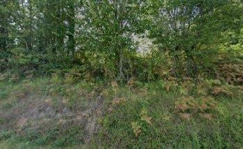 Total English- nos coordonnées