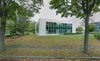 Les cours de langues