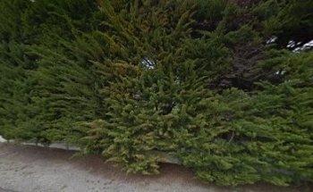 Slp English Training