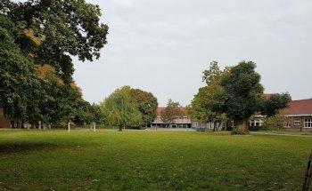 GO! basisschool Vijverbeek