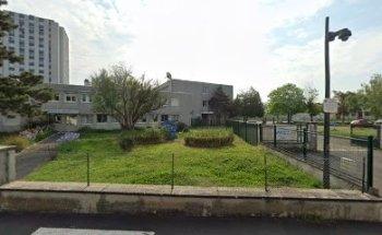 Lingua Capoeira Tours During Portuguese Brazilian