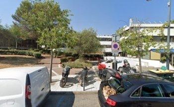 Algo Course & Training