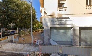 Weilan Services 蔚蓝咨询