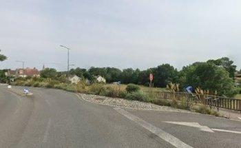 Center Linguistic Elisa Lemos Clel