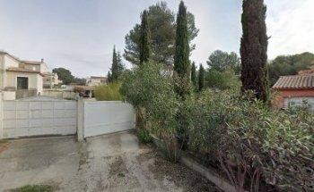 Dragonfly Language School