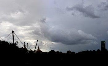 Studio NaVivo, Julia Pulizzotto