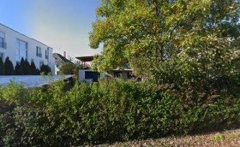 procultus business communication