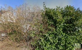 AKJ Sprachtraining - Schwedisch, Deutsch und Englisch