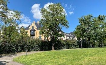 Institut für deutsche Sprache und Kultur e.V. (Halle /S.) - IDSK