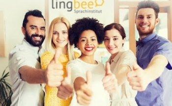 lingbee Sprachinstitut