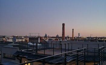 Chatterbug Language Learning