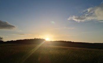 Praxis für Logopädie Johanna Holz